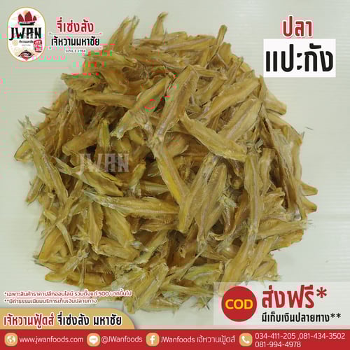 ปลาแปะกัง