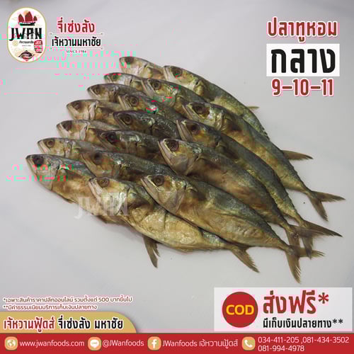 ปลาทูหอมกลาง 9-10-11