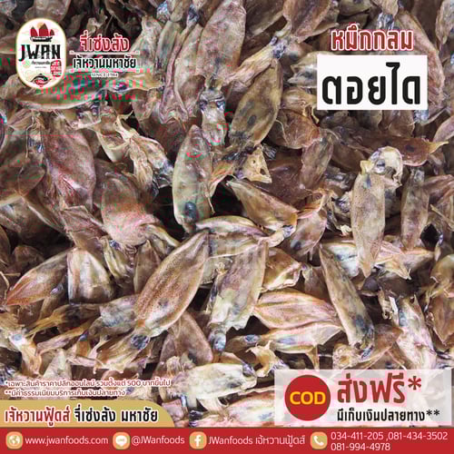 หมึกกลมตอยได