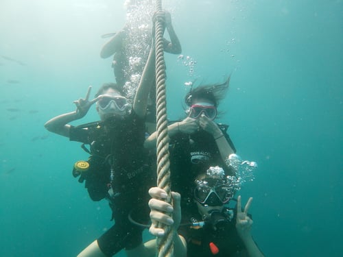 ดํานํ้าครั้งแรก open water เกาะเต่า