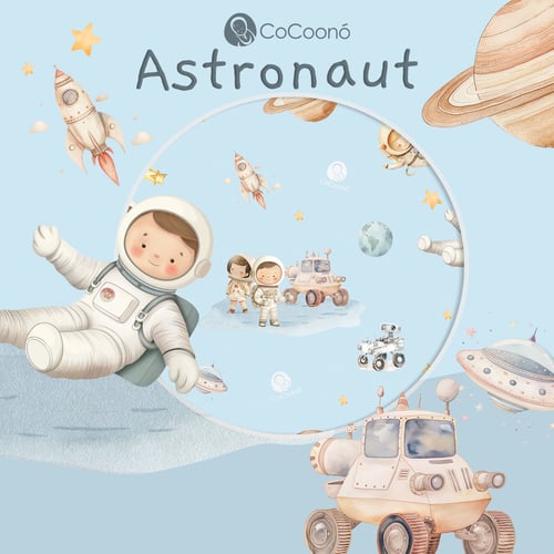 Booster seat cushion