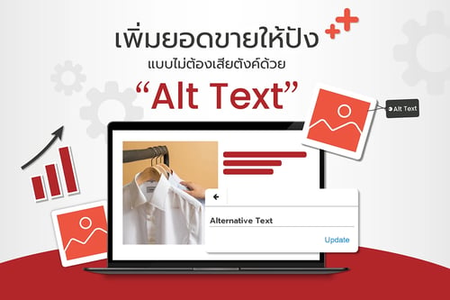  Alt Text ตัวช่วยเพิ่ม Traffic ให้เว็บไซต์  Alt Text มีผลต่อการทำ SEO  Alt Text คืออะไร