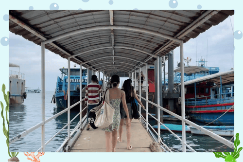 ท่าเรือ เกาะเต่า ดํานํ้า