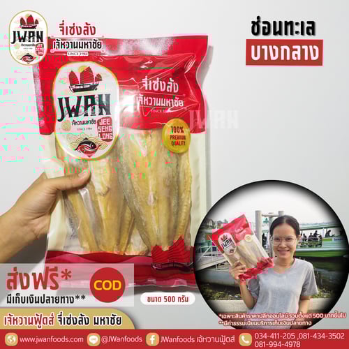 ปลาช่อนทะเลบางกลาง ณ