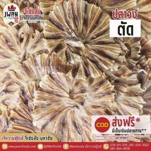 ปลาวงตัด