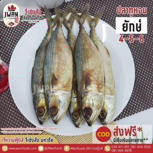 ปลาทูหอมยักษ์ 4-5-6