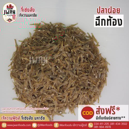 ปลาฝอยฉีกท้อง