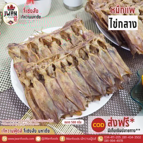 หมึกแพไข่กลาง