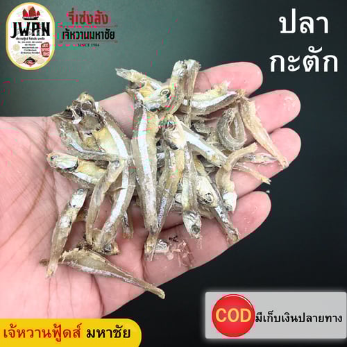 ปลากะตัก