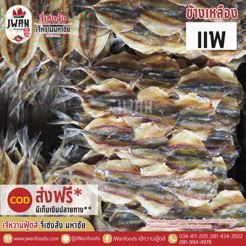 ปลาข้างเหลืองแพ