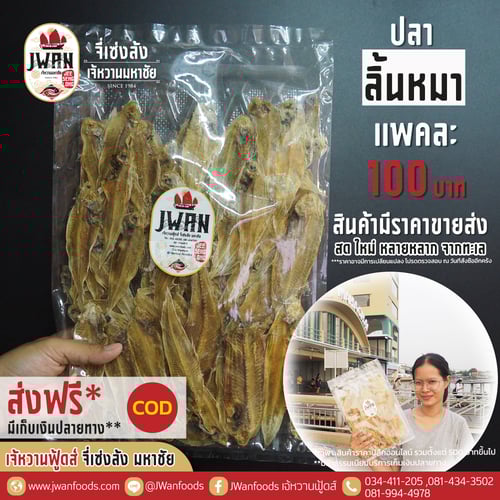 ปลาลิ้นหมา