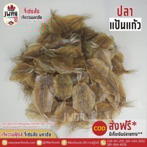 ปลาแป้นแก้ว