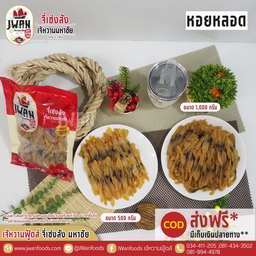 หอยหลอด