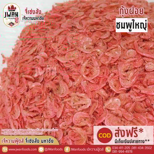 กุ้งฝอยชมพูใหญ่