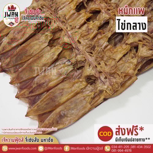 หมึกแพไข่กลาง