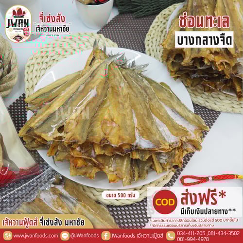 ปลาช่อนทะเลบางกลางจืด ส