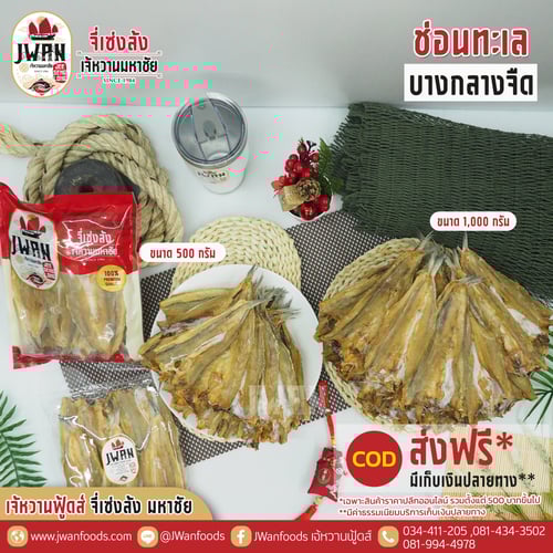 ปลาช่อนทะเลบางกลางจืด ส