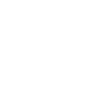 icon idea