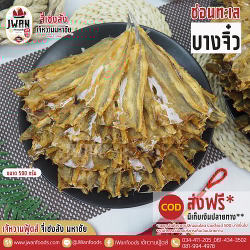 ปลาช่อนทะเลบางจิ๋ว ส