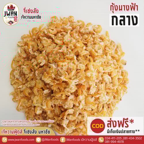 กุ้งนางฟ้ากลาง