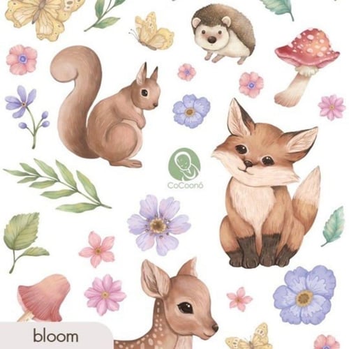 Cover CoCoonest