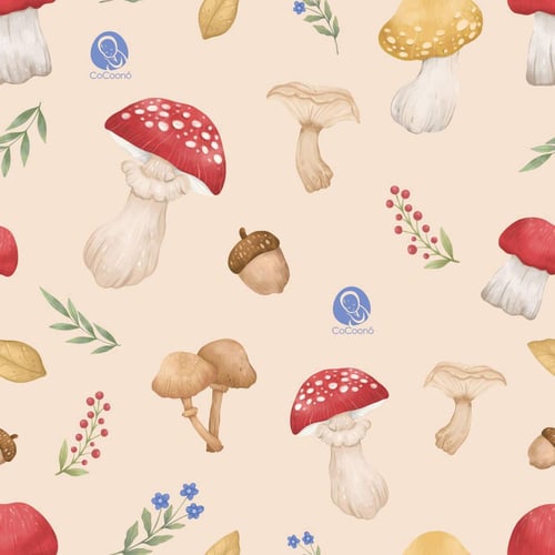 CoCoonest Duo set (ที่นอนกันตกเด็กเเรกเกิด+ผ้าห่ม)