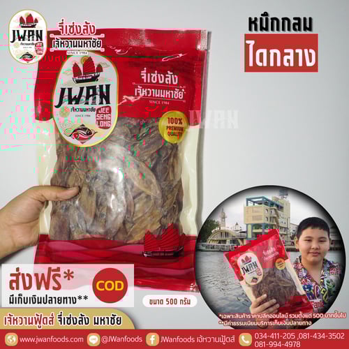 หมึกกลมไดกลาง