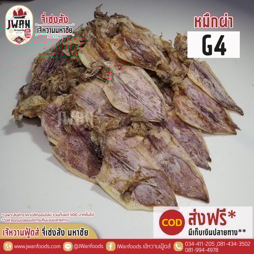 หมึกผ่า G4