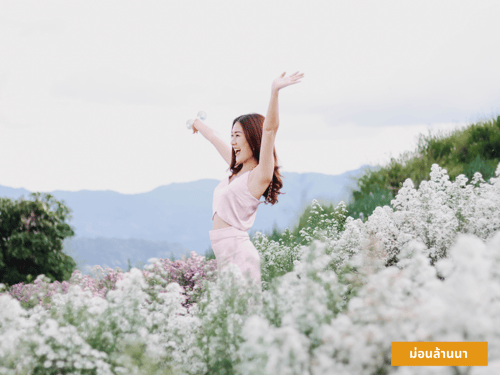 ม่อนล้านนา เชียงใหม่