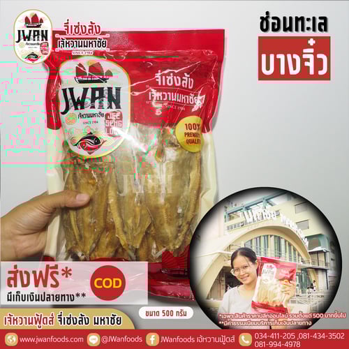 ปลาช่อนทะเลบางจิ๋ว ส