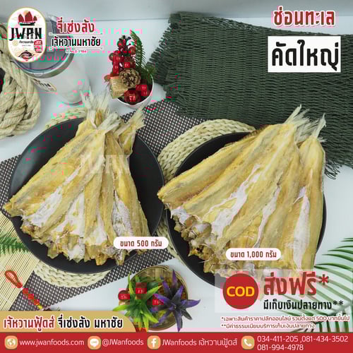 ปลาช่อนทะเลคัดใหญ่ ส