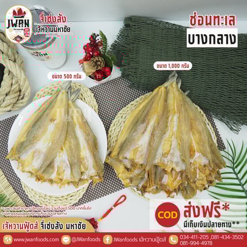 ปลาช่อนทะเลบางกลาง ณ