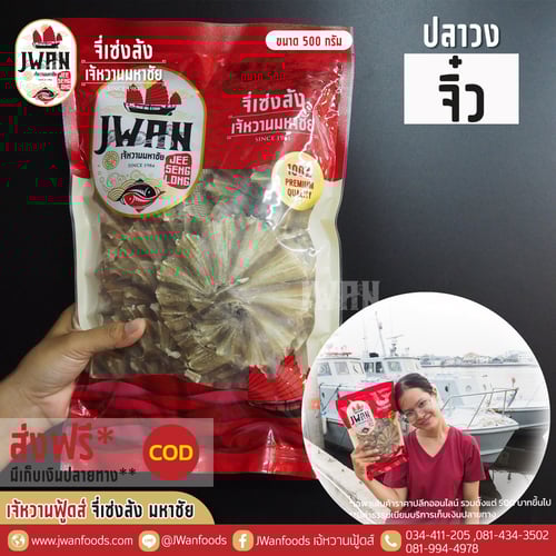 ปลาวงจิ๋ว