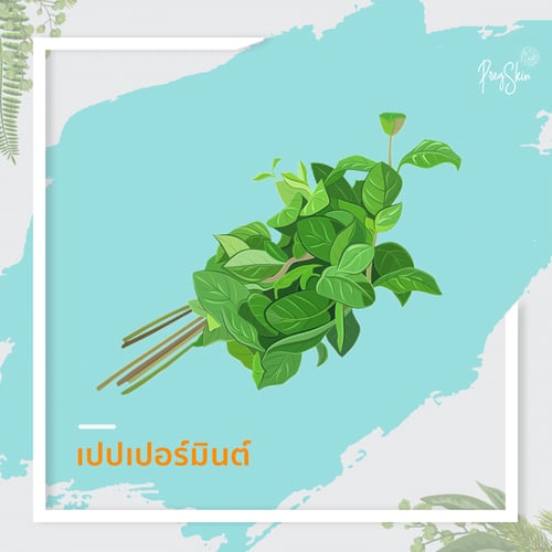 peppermint dangerous for pregnant women