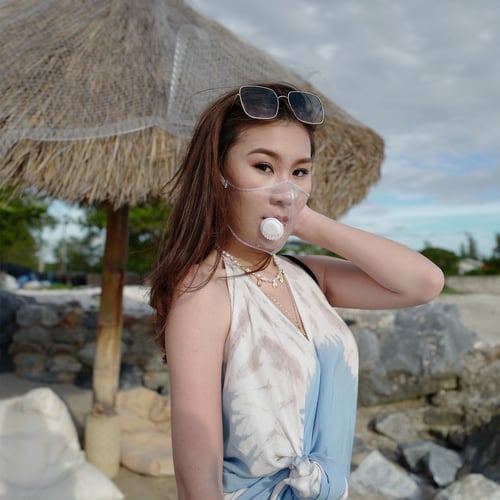  Pegasus cover face shield have value 