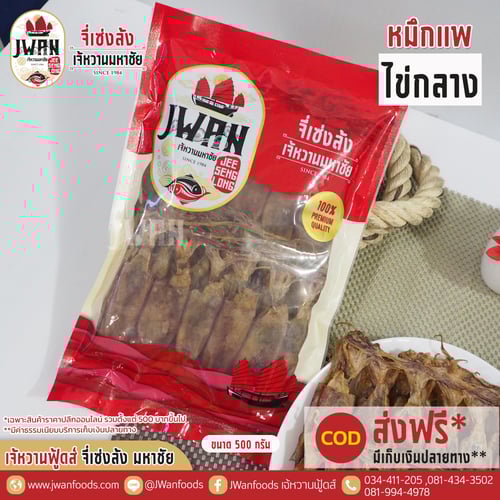 หมึกแพไข่กลาง