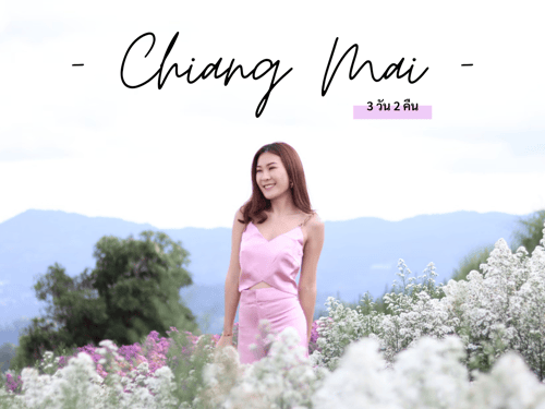 Pegasus Diary : ตะลุยเชียงใหม่ 3 วัน 2 คืน รวมที่กิน ที่พัก กิจกรรมที่ต้องไปทําในเชียงใหม่