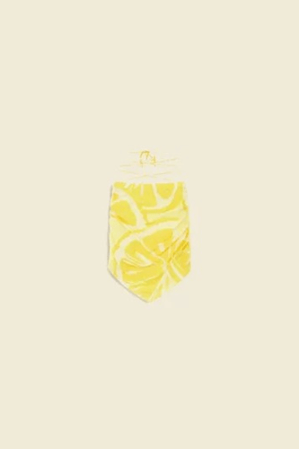 HOUSE OF SUNNY -SLICED LEMONS SKIRT