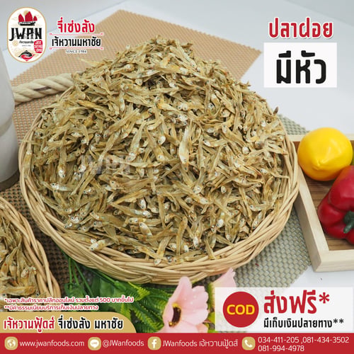 ปลาฝอยมีหัว