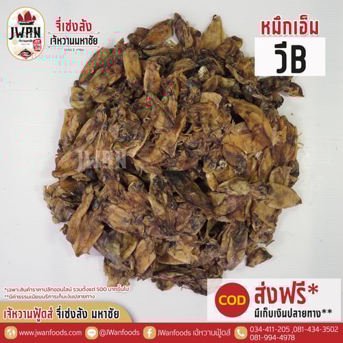 หมึกเอ็ม วี B