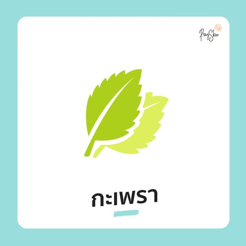 Basil is helpful in production of breast milk