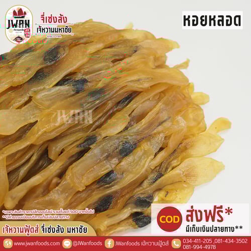 หอยหลอด