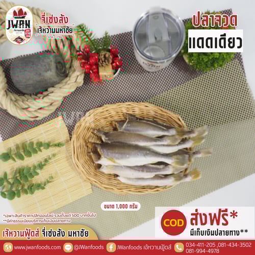 ปลาจวดแดดเดียว