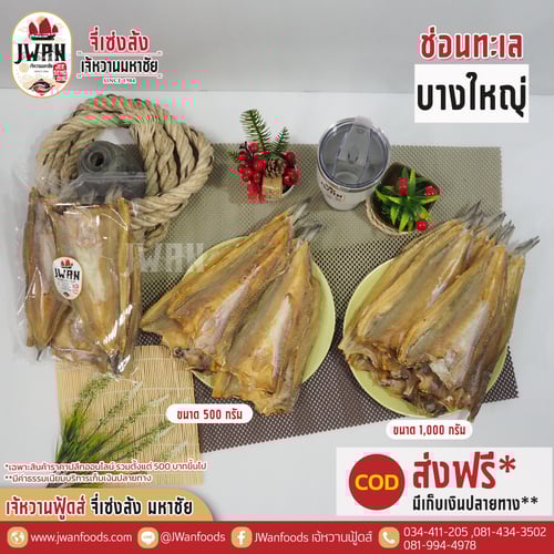 ปลาช่อนทะเลบางใหญ่ ณ