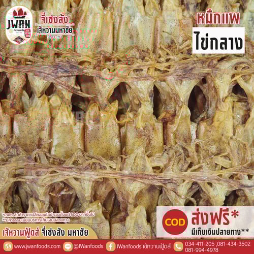 หมึกแพไข่กลาง