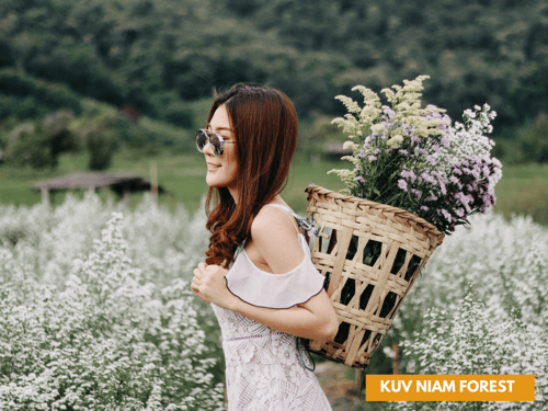 กู๊เนียร์ ฟอร์เร็ชท เชียงใหม่