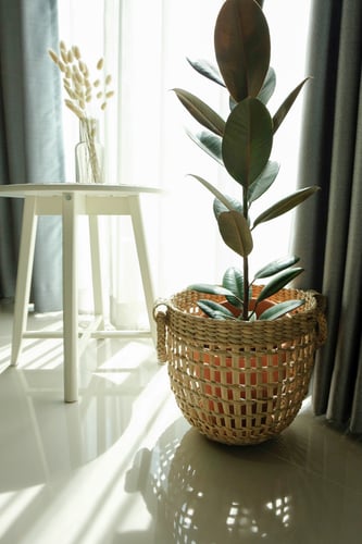 Boone basket nature size M(Pre-order)