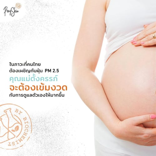pm 2.5 prevention for pregnant women