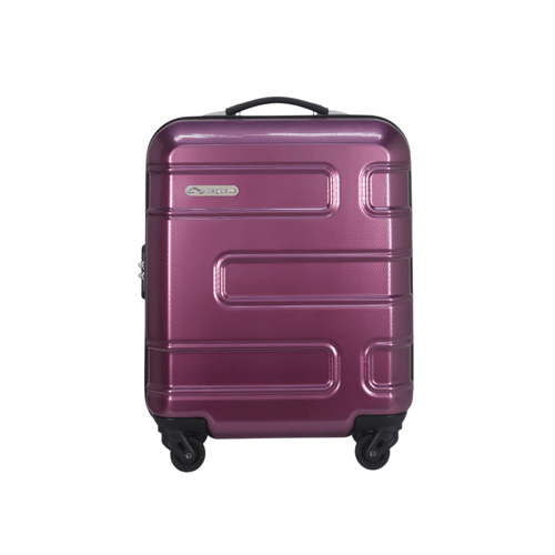 Pegasus cheap luggage company