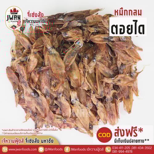 หมึกกลมตอยได